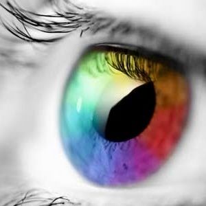 Meet your Posher, Alonzo